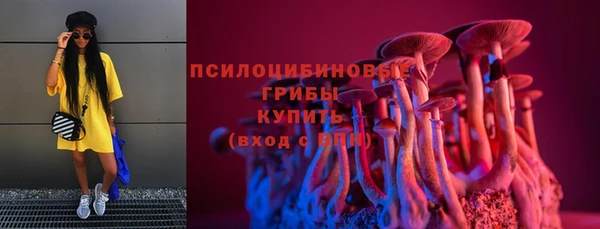 стафф Гусиноозёрск
