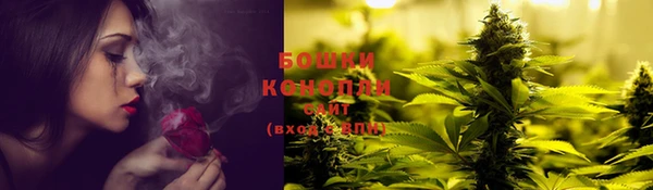 Альфа ПВП Гусь-Хрустальный