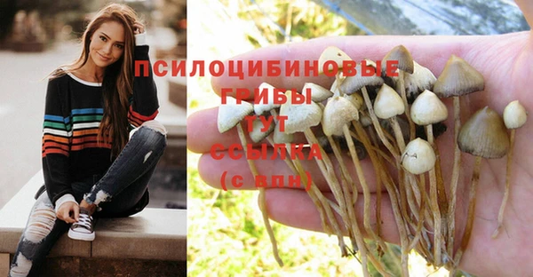 марихуана Гвардейск