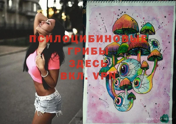 стафф Гусиноозёрск