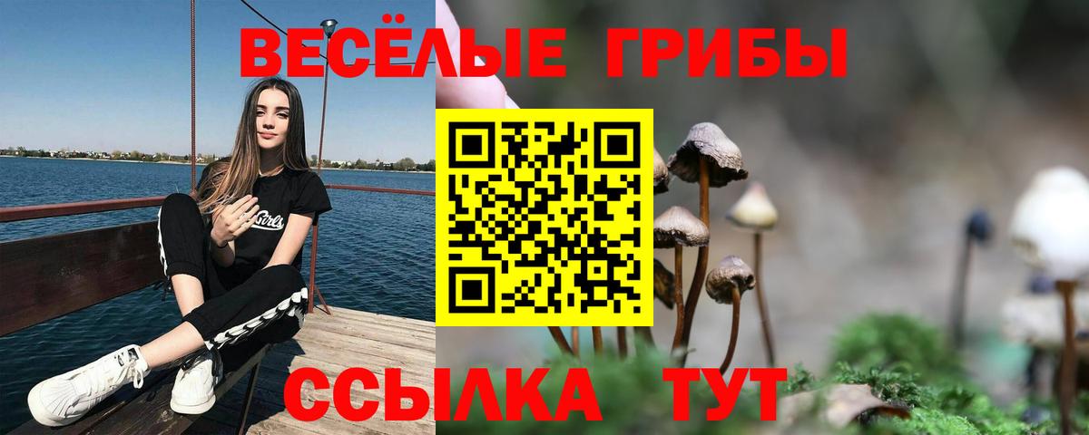 Галлюциногенные грибы GOLDEN TEACHER Дубна